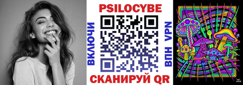 Галлюциногенные грибы Psilocybe где купить наркоту Светлогорск